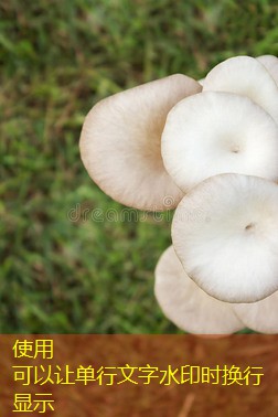 2025年07月15日天气特点