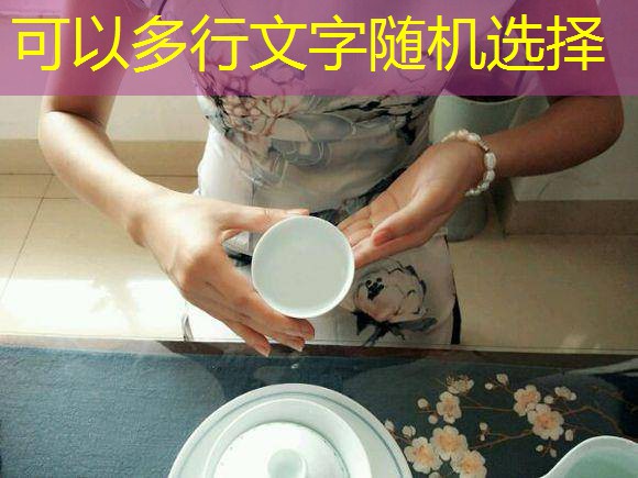 2025年12月23日河北鸡蛋价格持续偏弱