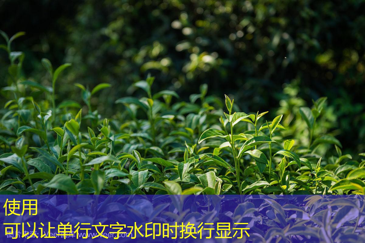 2025年猪价影响因素及预测