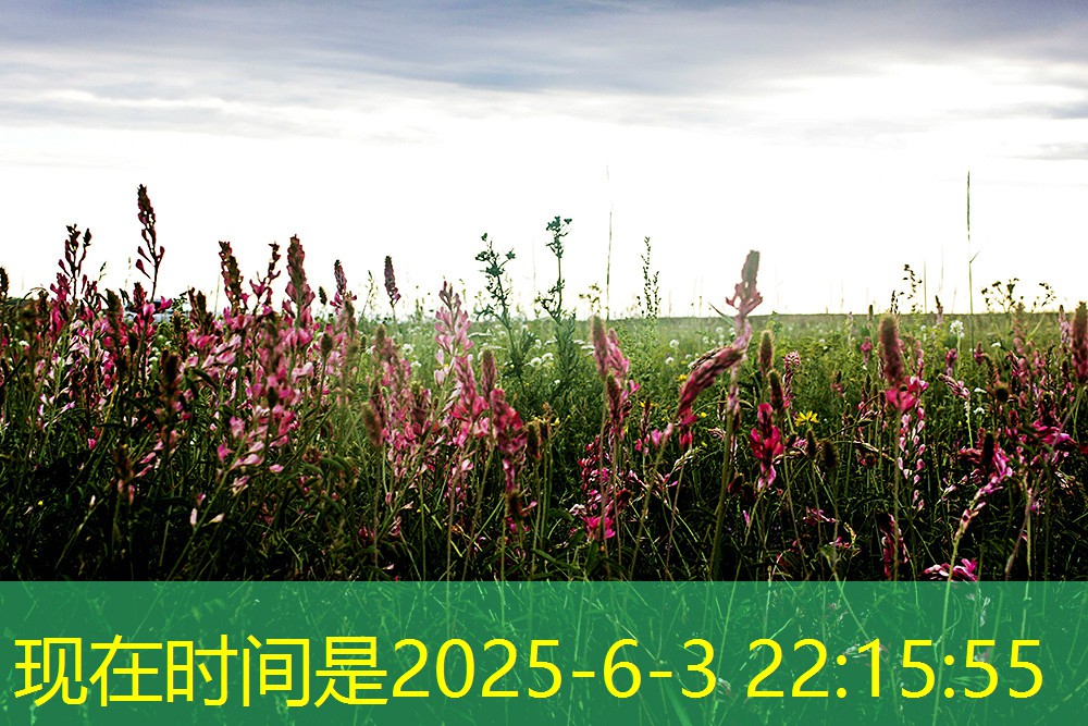 关于2025年03月15日跨省移库小麦销售底价的通知