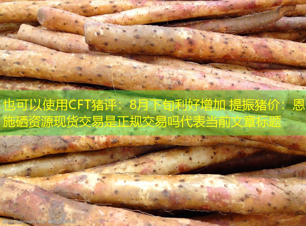 CFT猪评：8月下旬利好增加 提振猪价