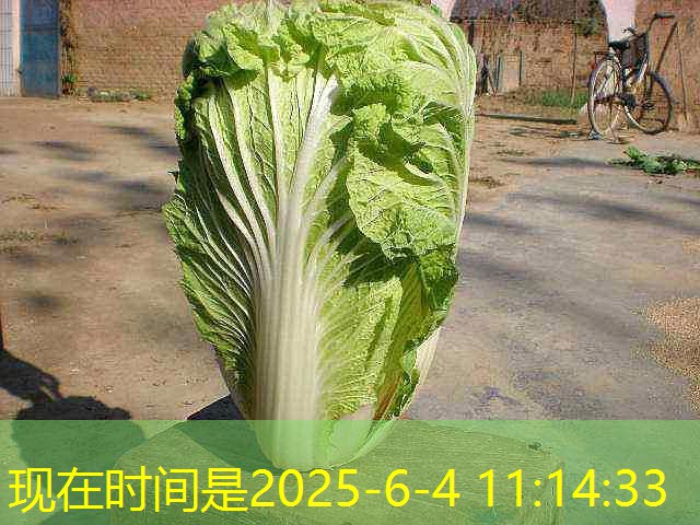 9月外贸航程或遭“浪头阻击”，进出口增速料双降